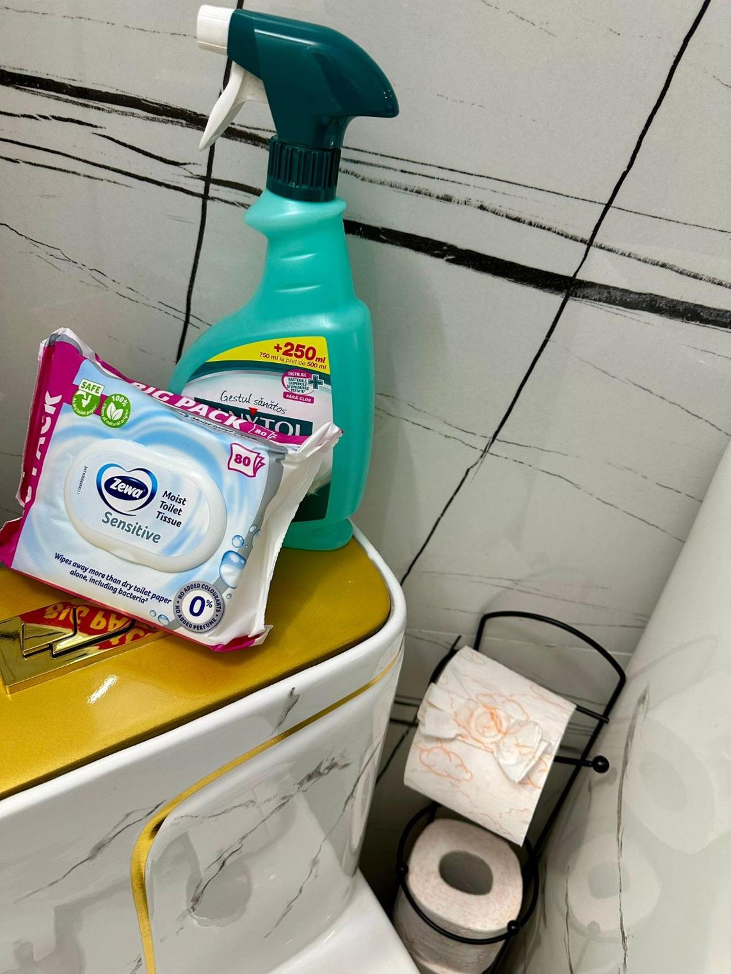 Evelyn Apartment Bistriţa Dış mekan fotoğraf
